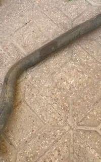 اگزوز