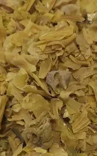پوست سنگدان