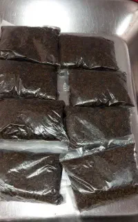 زیره سیاه کوهی درجه یک