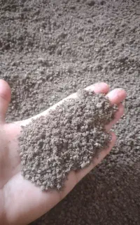 کنجاله زیتون خوراک ارزان جوجه مرغ گوشتی و تخم گذار