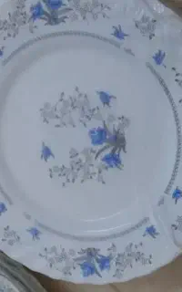 آرکوپال