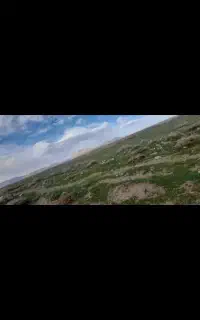 زمین برای کاشت خیار شراکتی نیاز به شراکت