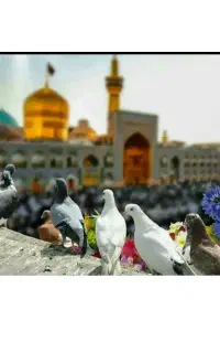 کربلا ۶۲۰۰
