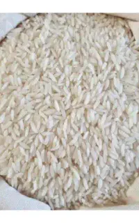 برنج هاشمی امساله