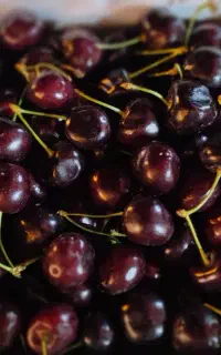 گیلاس درجه یک ۲۱۹۰۰۰ هزار تومان نیشابور