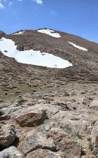 کود گوسفندی