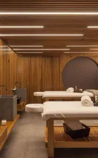 استخدام ماسیس حرفه ای