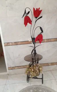 کنار سالنی