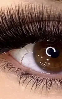 خدمات اکستنشن مژه ولیفت ابروماندگاری بالاواوان۶۰۰