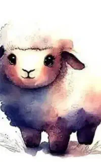 بره نر قربانی