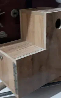 لانه عروس هلندی و ملنگو