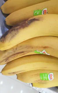 به یک  نفر کارگر ساده در میوه فروشی نیازمندیم