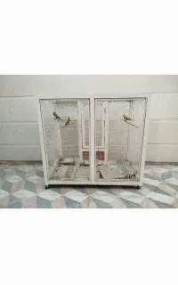 یک قفس