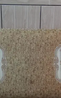 دو عدد پشتی