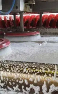 قالیشویی مدرس سرداران فدک فضل آبادولیعصرپودنک رحمت