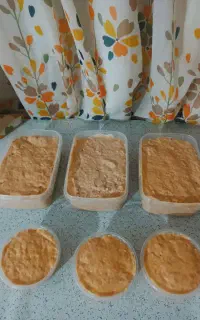 کنسرو خانگی سگ و گربه