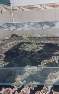 آکواریوم ماهی بزرگ