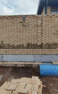 استا بنا سفت کار