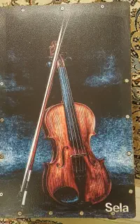 کاخن نو دو عدد در دو طرح باکاور