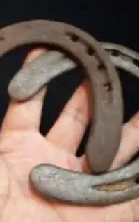 نعل اسب کاکرده پاخورده دانه ۲۰۰