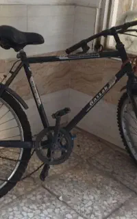 دوچرخه اساک دماوند