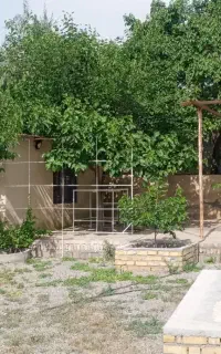 اجاره کوتاه مدت
