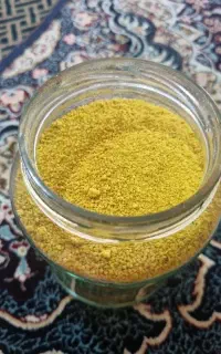کشک زرد گوسفندی