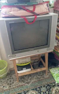 تلویزیون