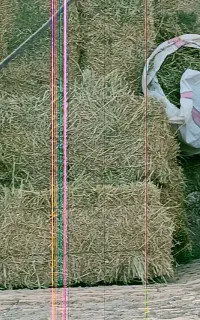 پرس یونچه