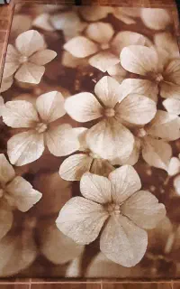 فرش سه بعدی