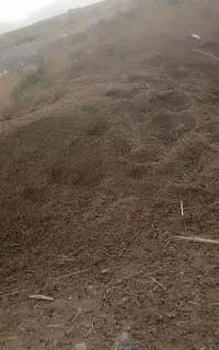 شوط روستایی سنق