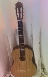 گیتار حرفه ای خوش صدا
