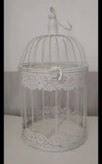 قفس