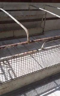 فروش باربندپیکان بار
