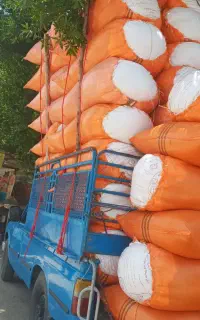 کاه گندم دیم