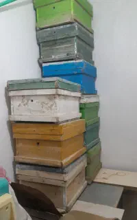 کندوی عسل در حد نو