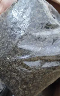 دیگه سبزی قرمه رو سرخ نکن و زردچوبه درجه یک