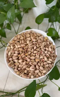 فروش پسته رفسنجان درجه یک