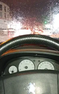 پارس دوگانه