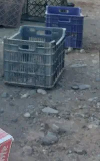 سبد رنگی حمال