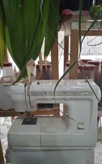 چرخ خیاطی مارک جک و سر دوز پروانه و چرخ صنعتی