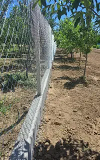فنس کشی خدمات باغبانی حرص کاری استخر دیوار کشی