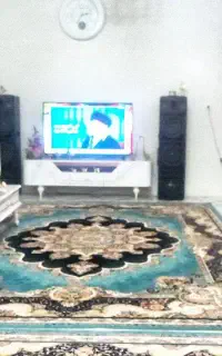 فرش فیروزه ای جفتی ۳۰  ۹ متری