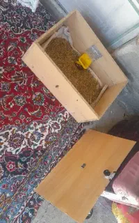 دستگاه جوجه کشی