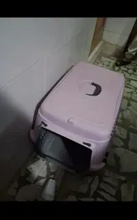 باکس سگ