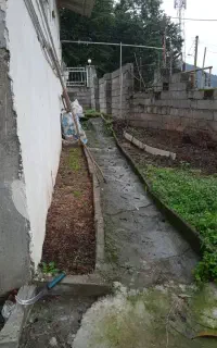 فرو‌ش اردک