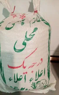 طارم هاشمی درجه یک برای زمین خودمون