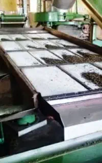 5کارگرآقابرای کارخانه چایی شهرریزه ترکیه نیازداریم