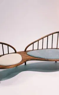 نیروی نجار و ام دی اف کار