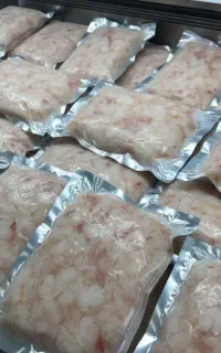 ماهی و میگوی ارگانیک خلیج فارس